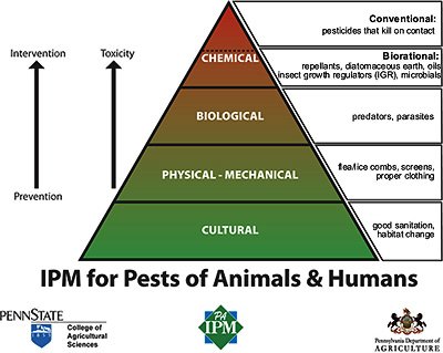 IPM Pyramid