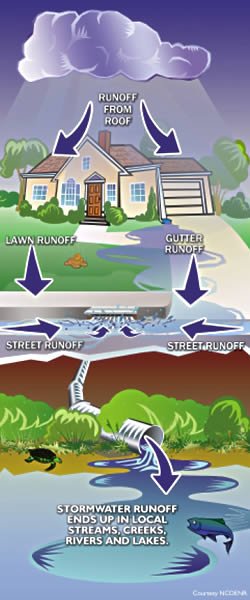 Diagram illustrating where stormwater runoff goes.
