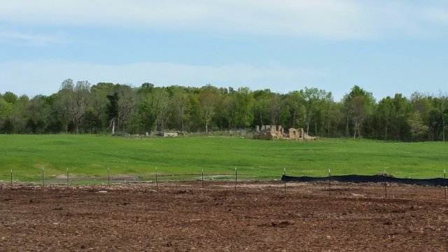 Revegetation of the Catholic 40 site, Spring 2015