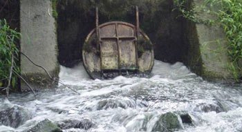 Photo illustrating urban stormwater runoff.