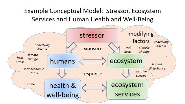 Example Conceptual Model: Stressor, Ecosystem Services and Human Health and Well-Being