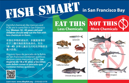 View the Fish Smart San Francisco Bay SFB Video