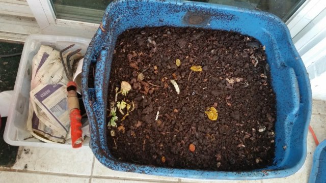 This is a picture of a large blue plastic bin used for worm composting and a trowel next to it.