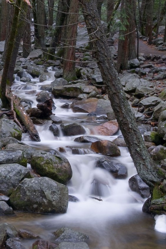 Feeder Stream — The Living River