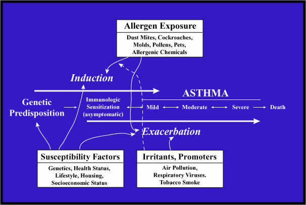 asthma induction