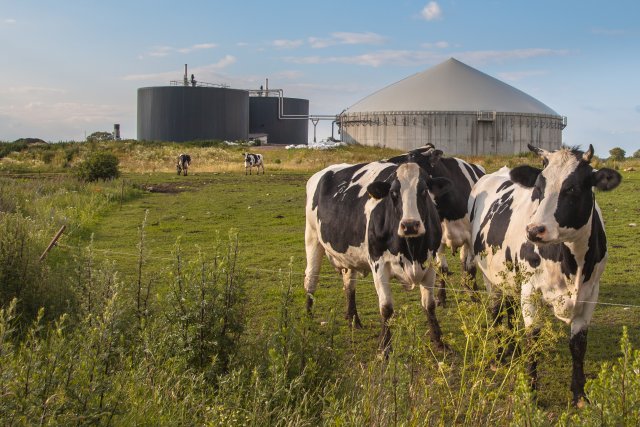 Photo of On-Farm Biogas Plant at a Dairy Farm