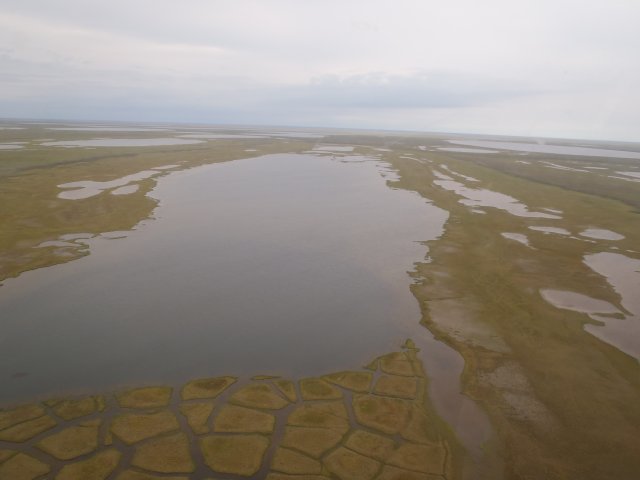 Photo from an airplane looking down at multiple natural lakes in Alaska