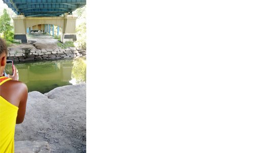Young participant takes photo of the fish in the bronx river