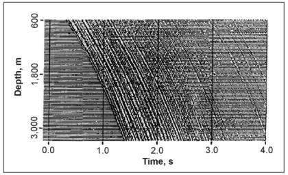 Example of a Vertical Seismic