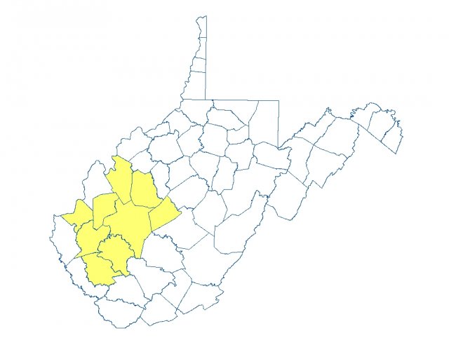 Map of West Virginia highlighted in yellow by counties affected by the Elk River spill, Putnam, Roane, Logan, Lincoln, Kanawha, Jackson, Clay, Cabell and Boone.