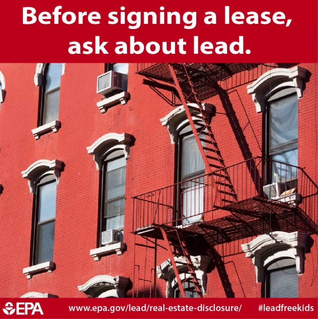 Shareable Infographics on Lead Poisoning Awareness US EPA