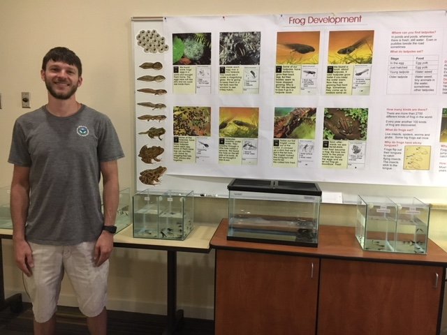 EPA’s Nick Zielinski shows his display for Earth Day guests on the different life stages of frogs.