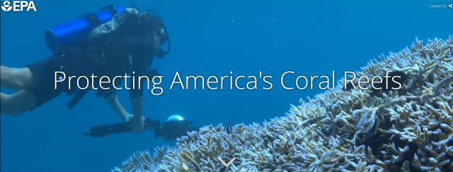 Thumbnail of "Protecting America's Coral Reefs" Story Map