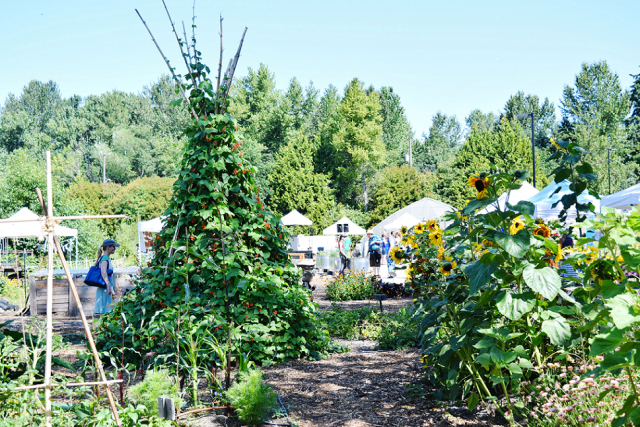 Tilth Alliance in Seattle, Washington will use a $85,000 EPA environmental education grant to support a learning program at Rainier Beach Urban Farm &amp; Wetlands with partners South Shore K-8 School, Rainier Beach HS, Friends of Rainier Beach Urban Farm &amp; W