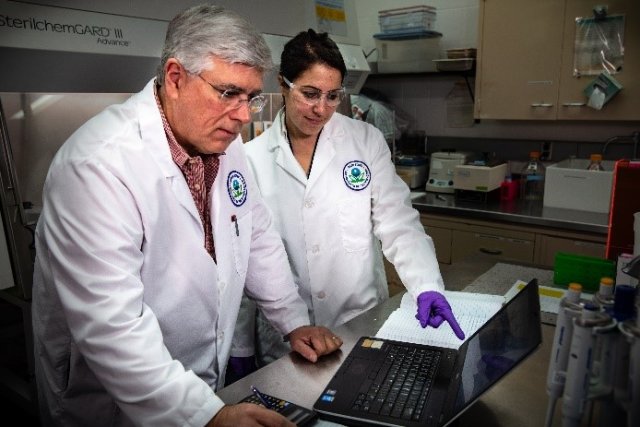 Researchers discussing data