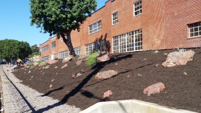 Xeriscaping after at 63rd RD