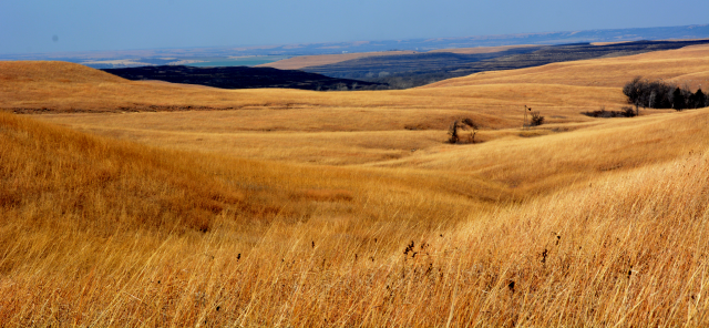 image of Burnt rangeland distance KS burns story