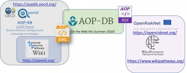 Illustration of the technical interaction of AOP-Database.
