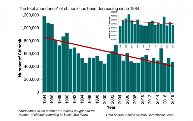 Chart showing total abundance of Chinook salmon in the Salish Sea since 1984. Source: Pacific Salmon Commission, 2019.