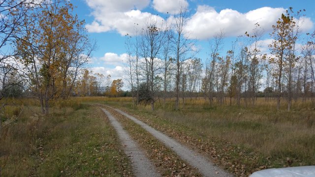 Middle Area of East Plant Photo   
