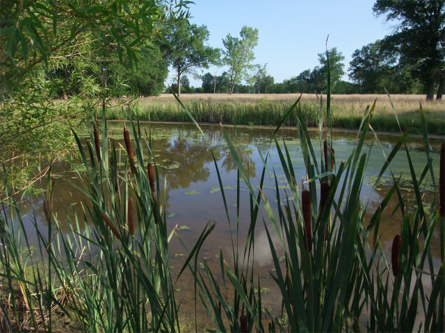 image of Waterway Route 66 State Park Times Beach story