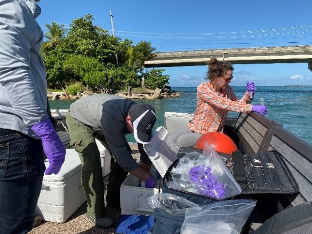 David Katz and Autumn Oczkowski collect water samples for nutrients and contaminants of emerging concern from the San Juan Bay estuary.