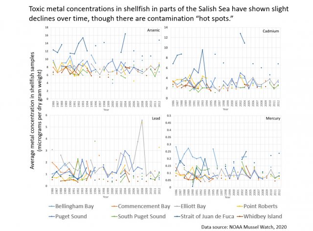 Charts showing slight declines in toxic metal concentrations in shellfish in parts of the Salish Sea between 1986-2012.