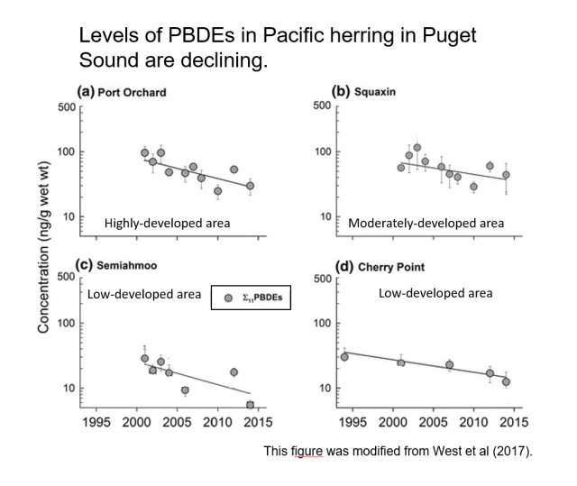 Chart showing declining levels of PDBEs in Pacific herring in Puget Sound between 1995-2015.