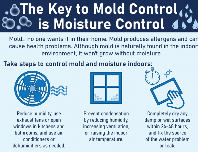 image of mold infographic
