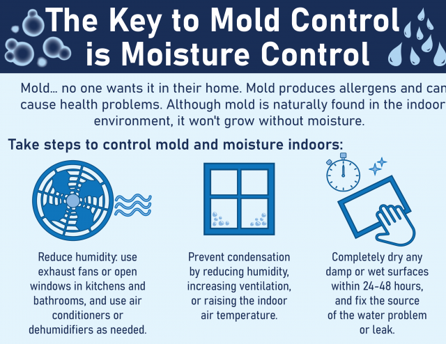 Moisture Control - Moisture Control E.P., Releases