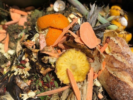 Picture of a pile of food waste