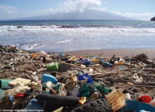 Large amount of marine debris at the beach