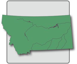 Montana State
