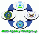 multi-agency workgroup