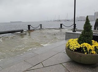 Flooding from a King Tide