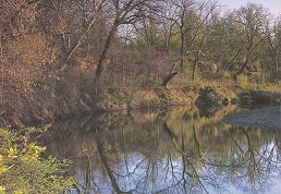 Photo of Blue River