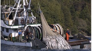 Lummi Nation Fishing Boat 