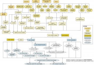 Snapshot of a detailed conceptual model diagram for ionic strength.