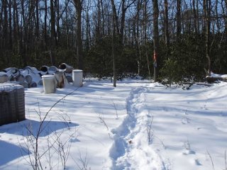 Air monitoring stations are located at breathing level around the perimeter of the site for the protection of public health.  This air monitoring station is located along the tree line, at the end of the tracks in the snow.