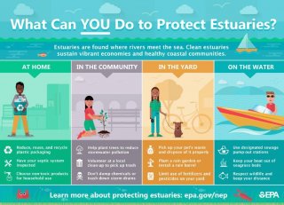 What can you do to protect esuaries? Estuaries are found where rivers meet the sea. Clean estuaries sustain vibrant economies and healthy coastal communities. At home: Reduce, reuse, and recycle plastic packaging; Have your spectic system inspected; Choos