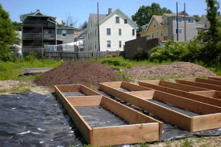 Burton Street Community Garden from the Beginning...