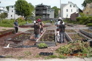 Burton Street Community Garden After Environmental Reclamation
