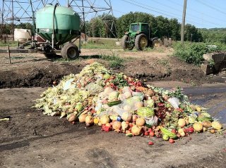 This is a picture of a pile of food waste 