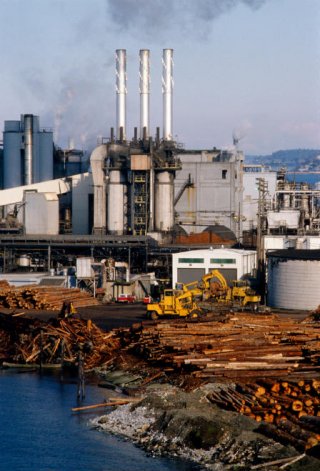 Photo of a paper mill