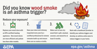 Thumbnail of wood smoke infographic