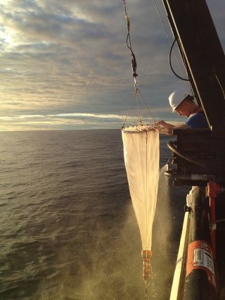 EPA's Lower Food Web Net being deployed off the side of the Lake Guardian research vessel by a scientist 