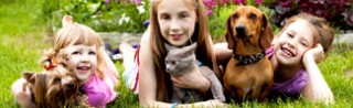 Protect Children and Pets