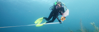 EPA diver conducting research