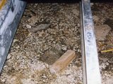 Mineral deposits on the surface of a dirt crawl space