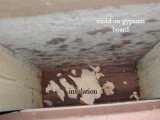 Inside of wall from above, moldy gypsum board, insulation.